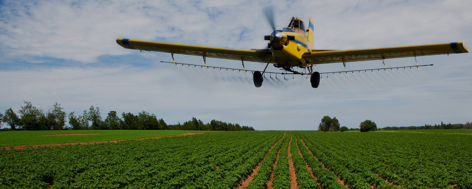 Staff Training Canadian Aerial Applicators Association
